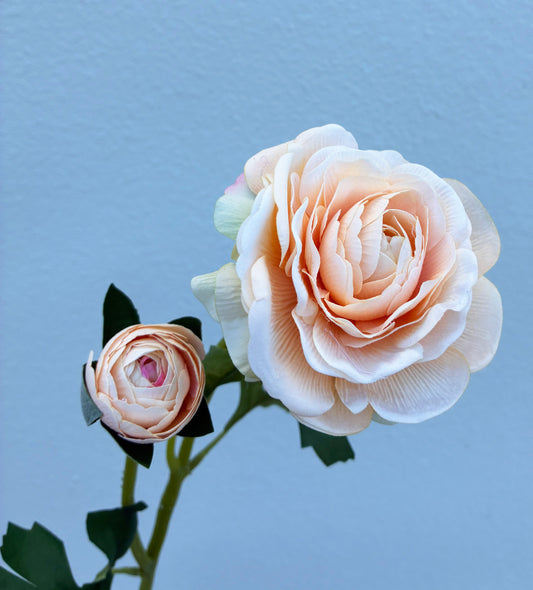 Artificial Real Touch Ranunculus Rose Peach