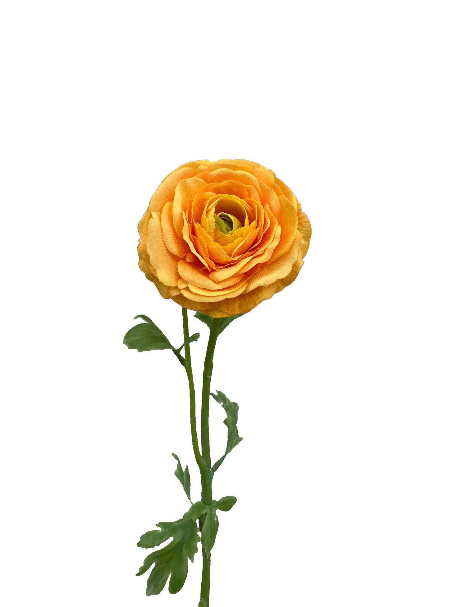 Artificial Real Touch Ranunculus Rose Orange Yellow