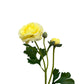 Artificial Real Touch Ranunculus Rose Pale Yellow