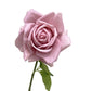Rose artificielle au toucher réel, rose poussiéreux