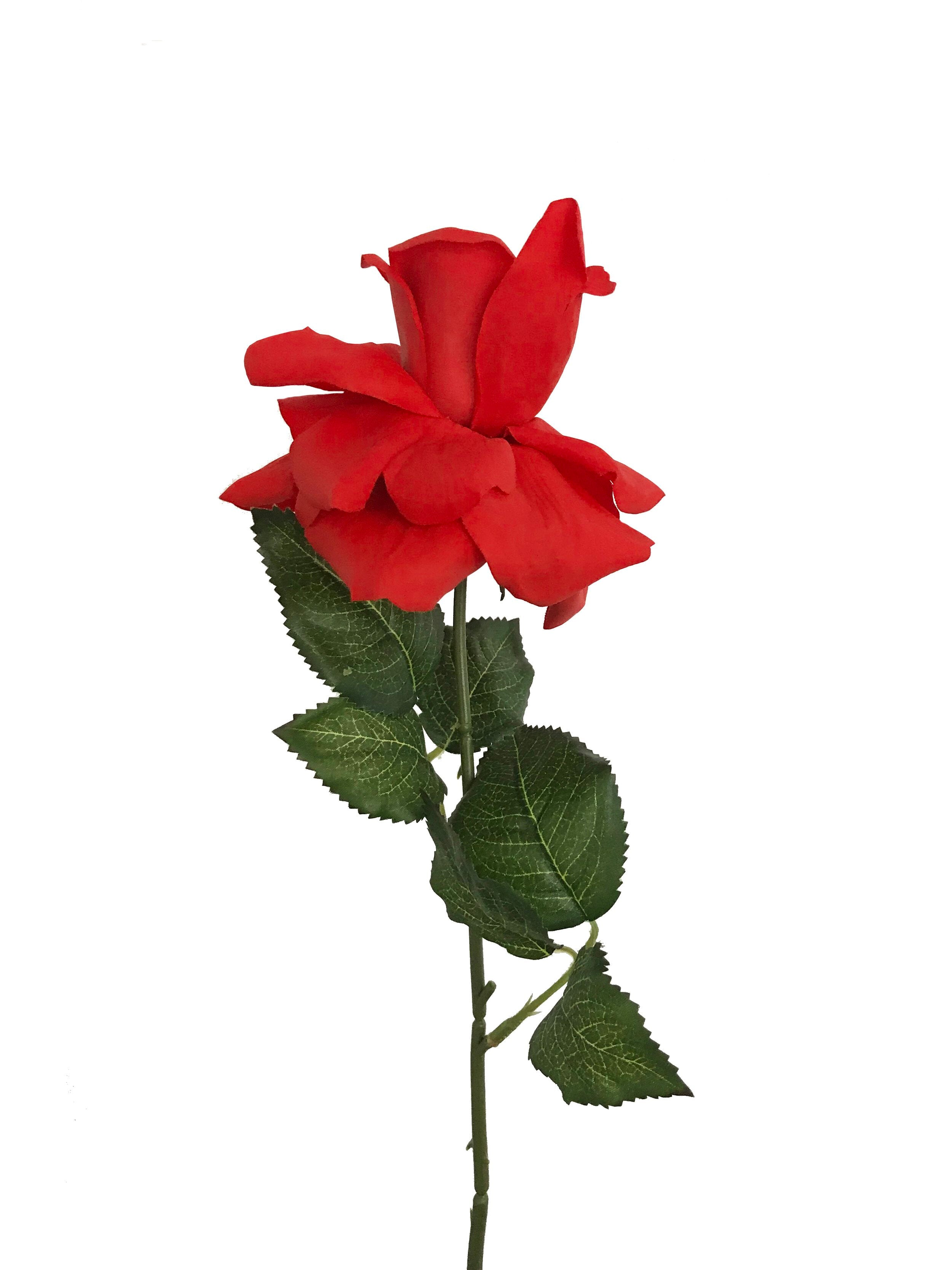 Artificial Real Touch Rose Fire Red Wild Blooms