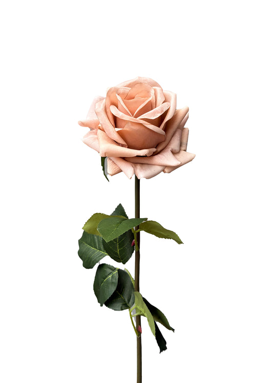 Artificial Real Touch Rose Latte