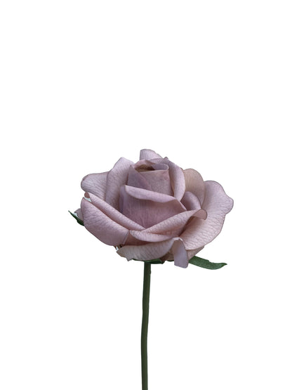 Rosa Artificial Real Touch Nude tallo corto