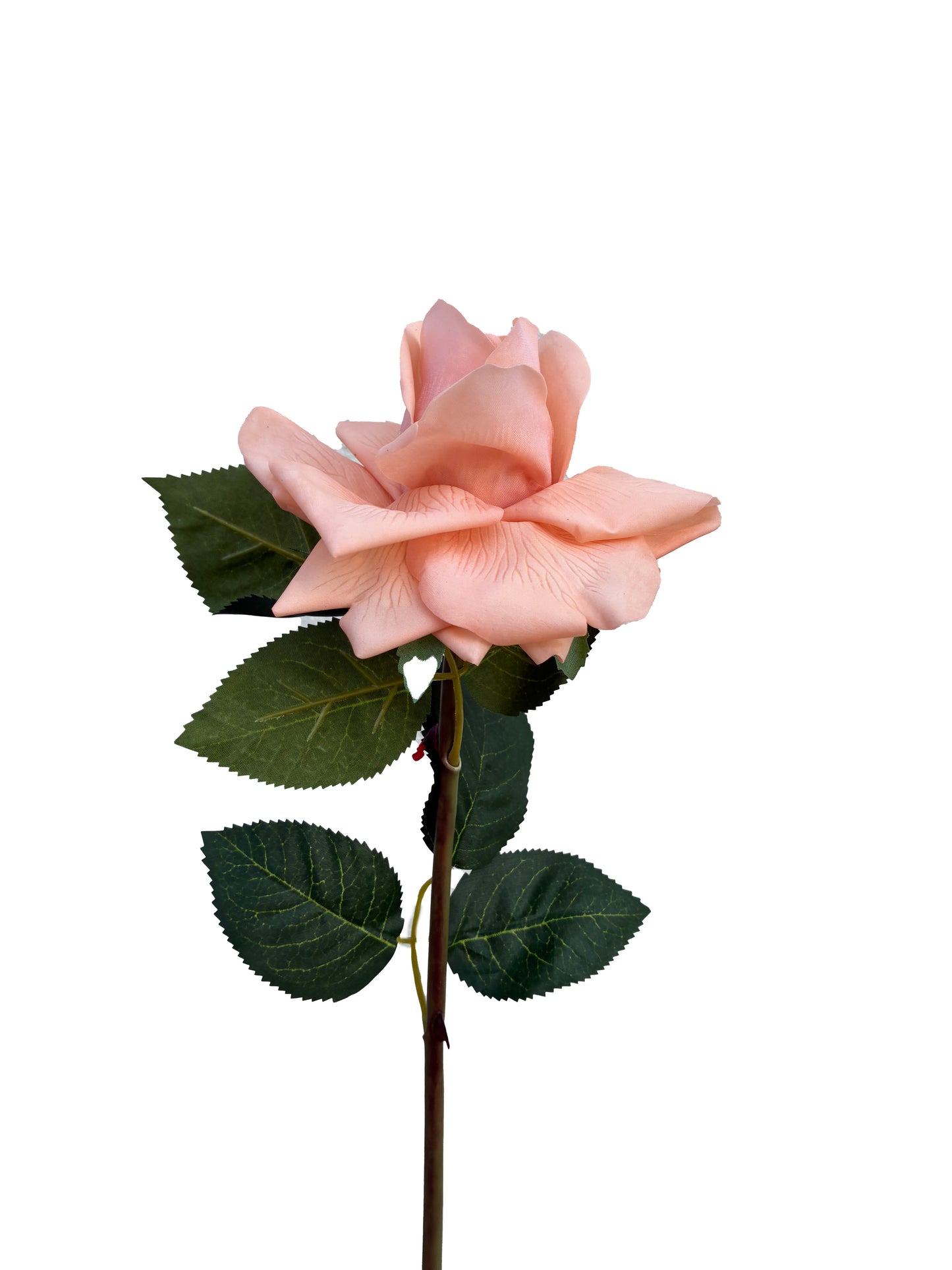 Real Touch Rose Peach Coral