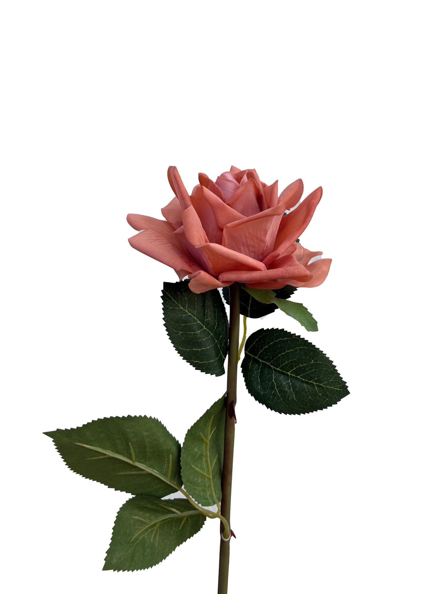 Real Touch Rose Toffee