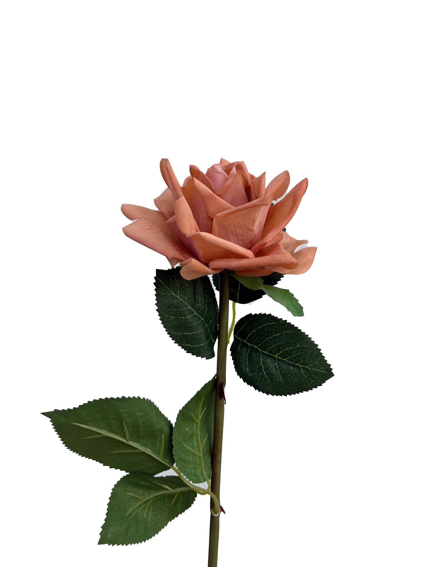 Real Touch Rose Toffee