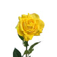 Real Touch Rose Yellow