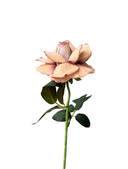 The Classic Artificial Rose Nude