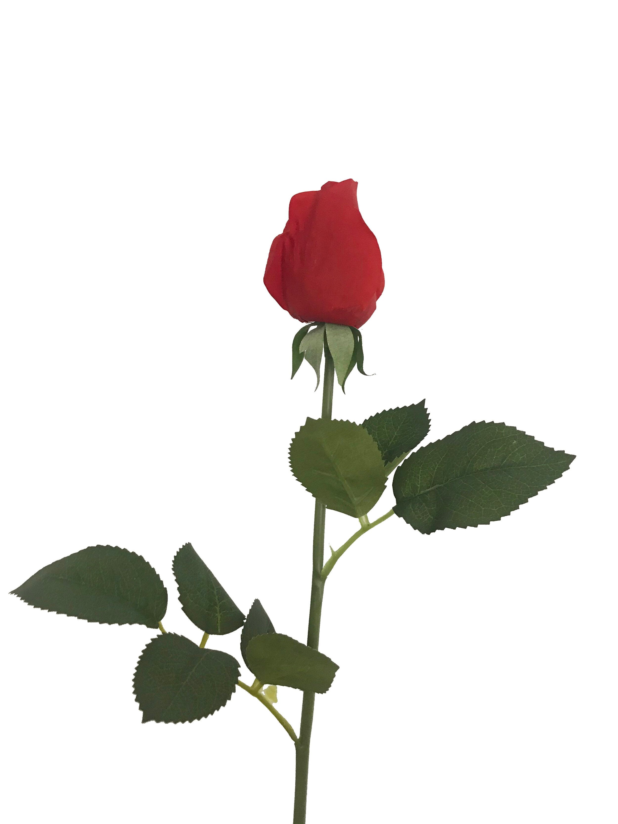 Artificial Real Touch Rose Bud Red – Wild Blooms