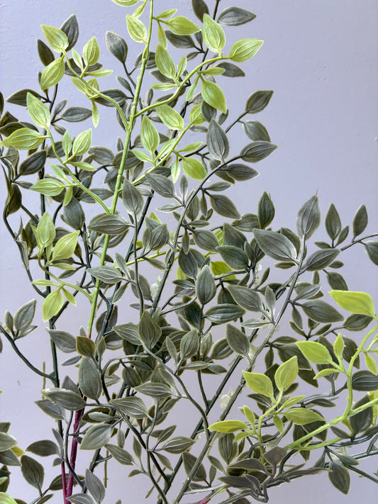Artificial Ruscus Branch