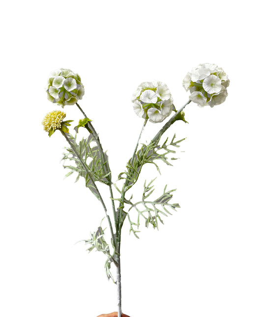 Artificial Scabiosa Pods White