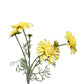 Scabiosa Artificielle Spray Jaune