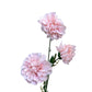 Artificial Pom Pom Dahlia Pale Pink