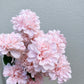Artificial Pom Pom Dahlia Pale Pink