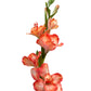 Artificial Gladiolus Orange