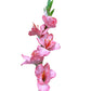 Artificial Gladiolus Pink Peach