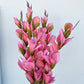 Artificial Gladiolus Watermelon