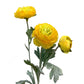 Artificial Ranunculus Rose Yellow