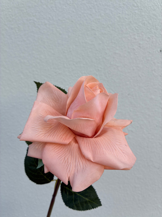 Real Touch Rose Peach Coral