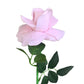The Classic Artificial Rose Pink