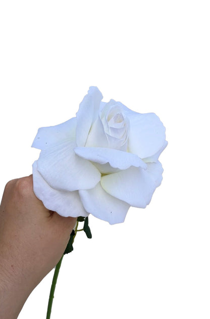 La Rose Artificielle Classique Blanc Naturel
