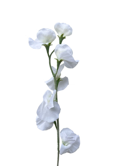 Artificial white sweet pea stem with silk petals and plastic wiring against a white background.