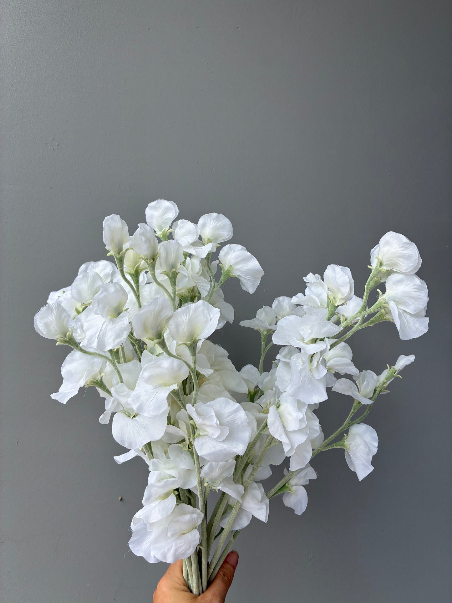 Bouquet of white sweet peas held
