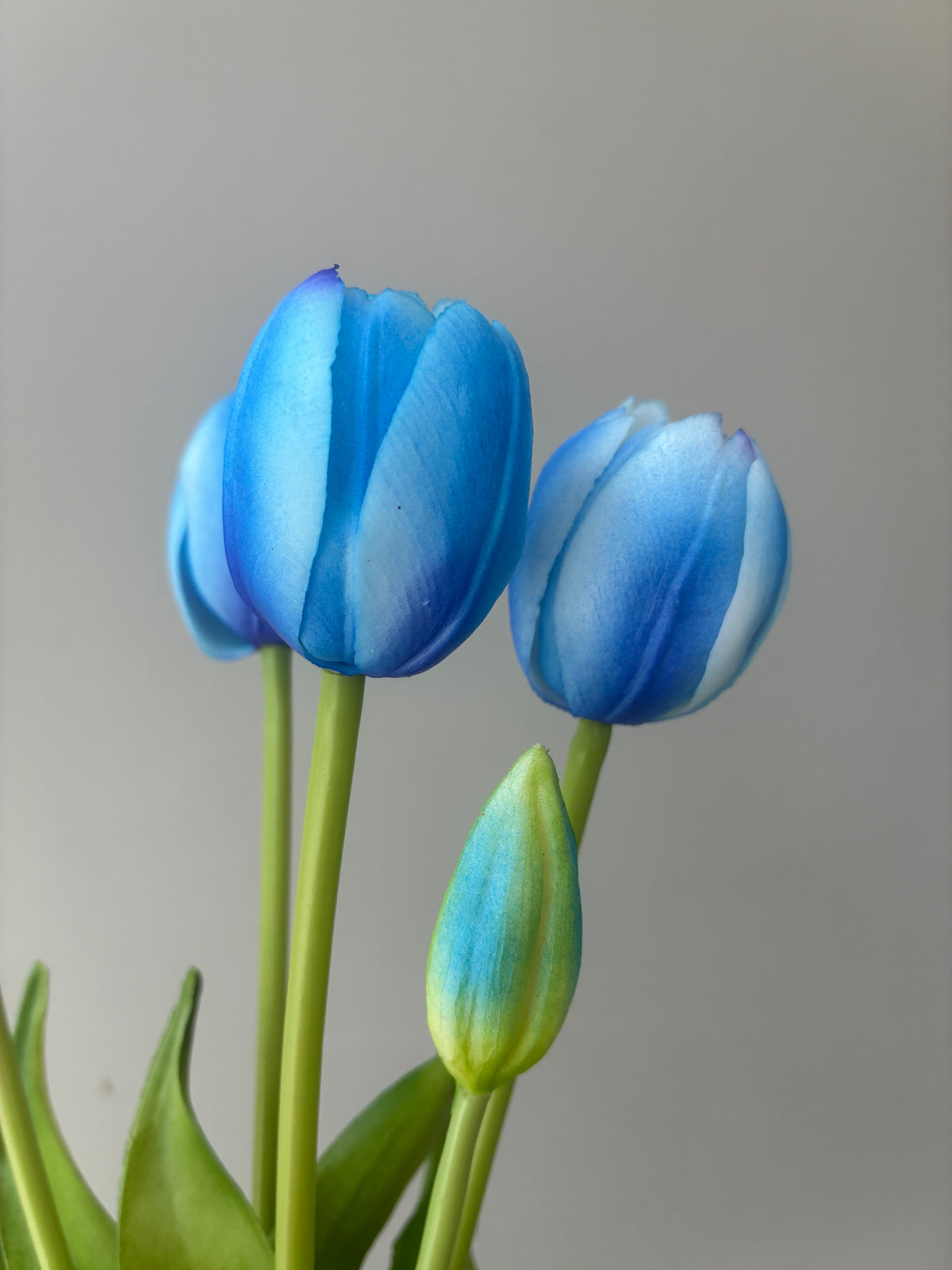 Real Tuli Artificial Real Touch Tulip Blue – Wild Blooms