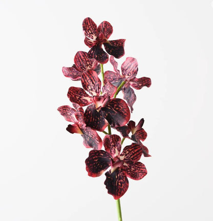 Artificial vanda Real Touch Orchid Burgundy