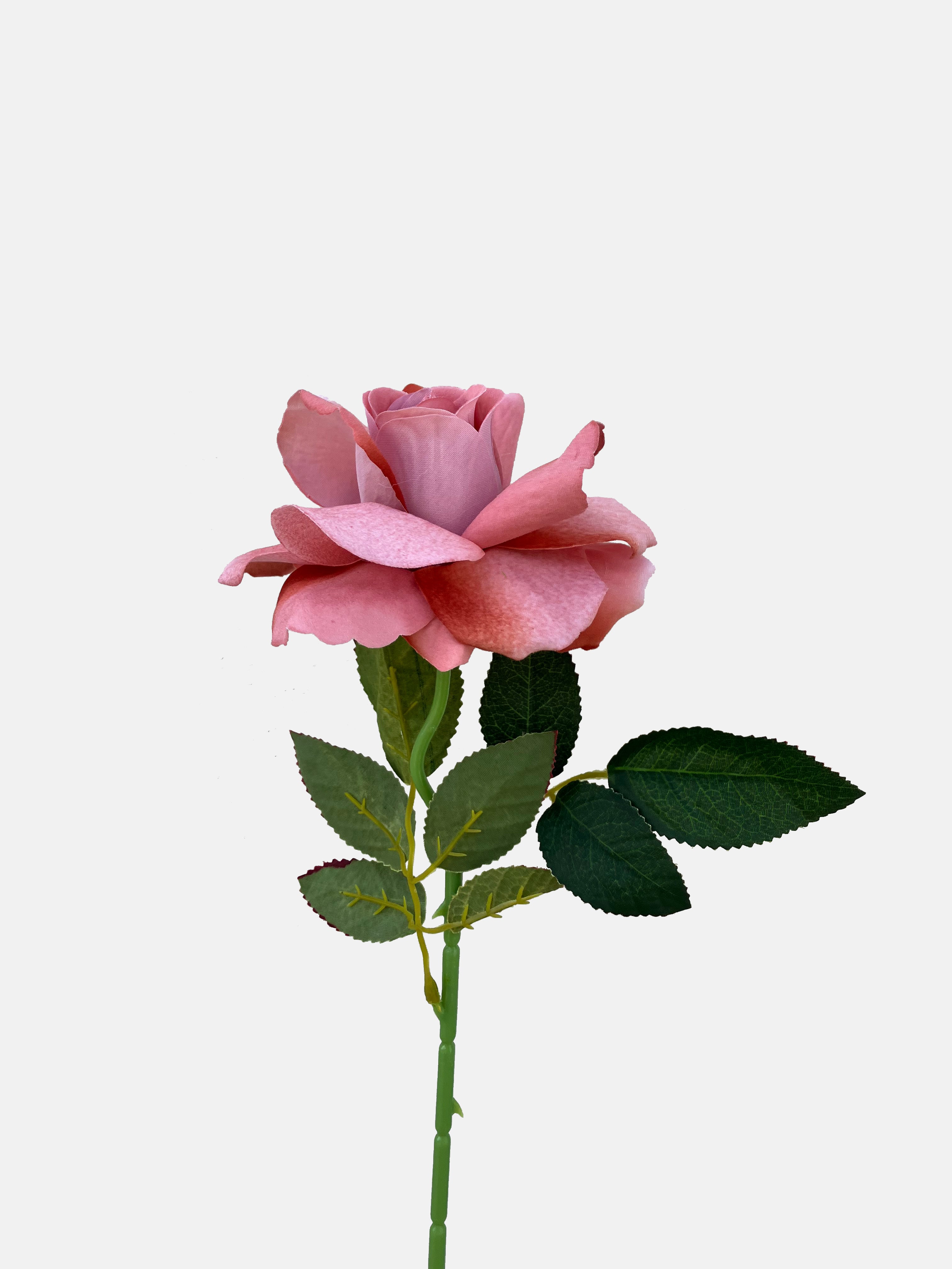 Artificial Transparent Roses The Classic Artificial Rose Dusty Pink Red – Wild Blooms