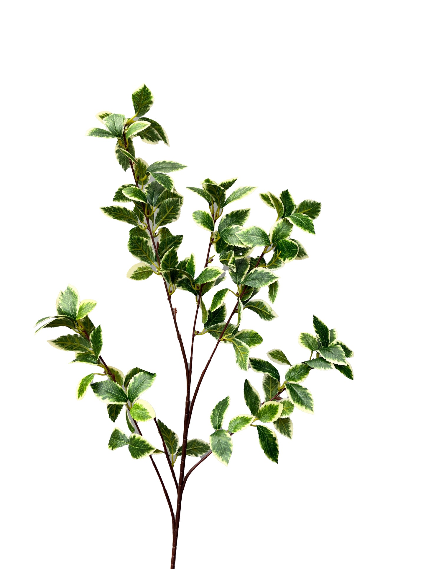 Artificial Verigated Camellia Branch Style 1