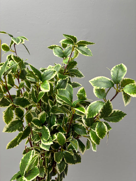 Artificial Verigated Camellia Branch Style 1