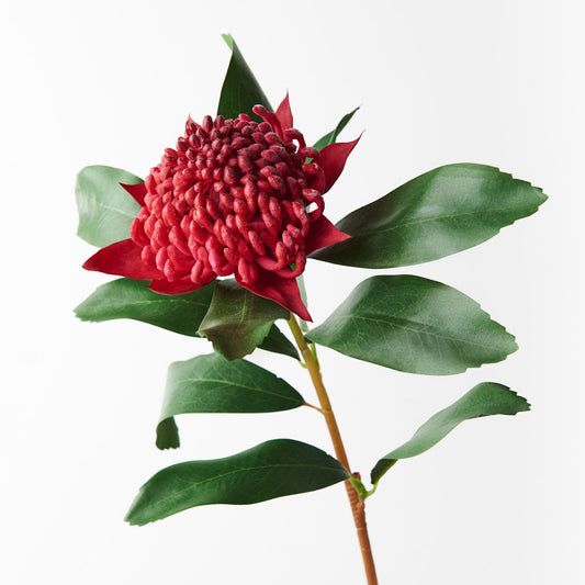 Artificial Waratah Red