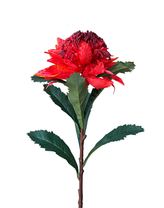 Artificial Waratah Red Style 2