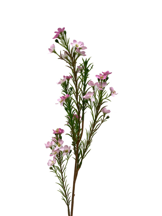 Artificial Australian Wax Flower Pink