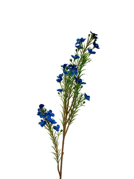 Fleur de cire australienne artificielle bleue 