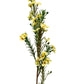 Artificial Australian Wax Flower Yellow