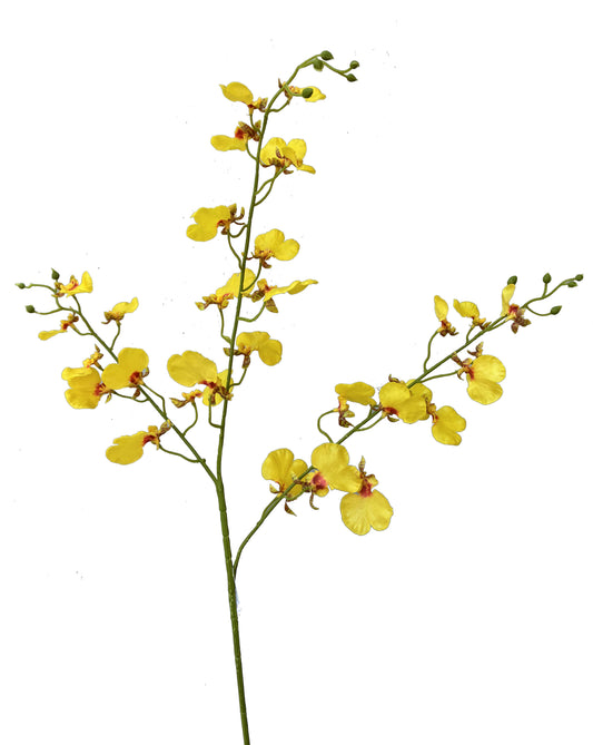 Artificial Real Touch Dancing Lady Orchid Yellow
