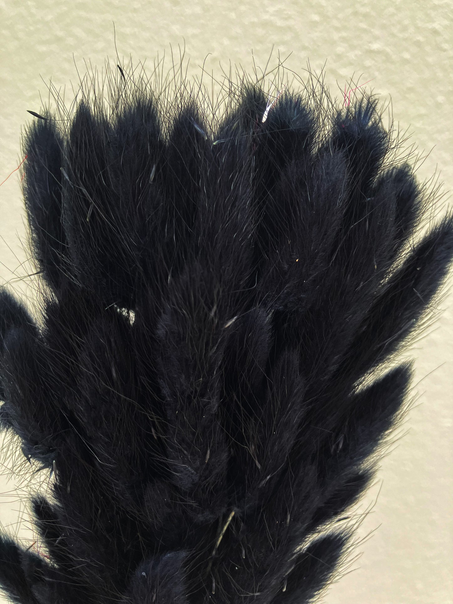 Dried Bunny Tails Black