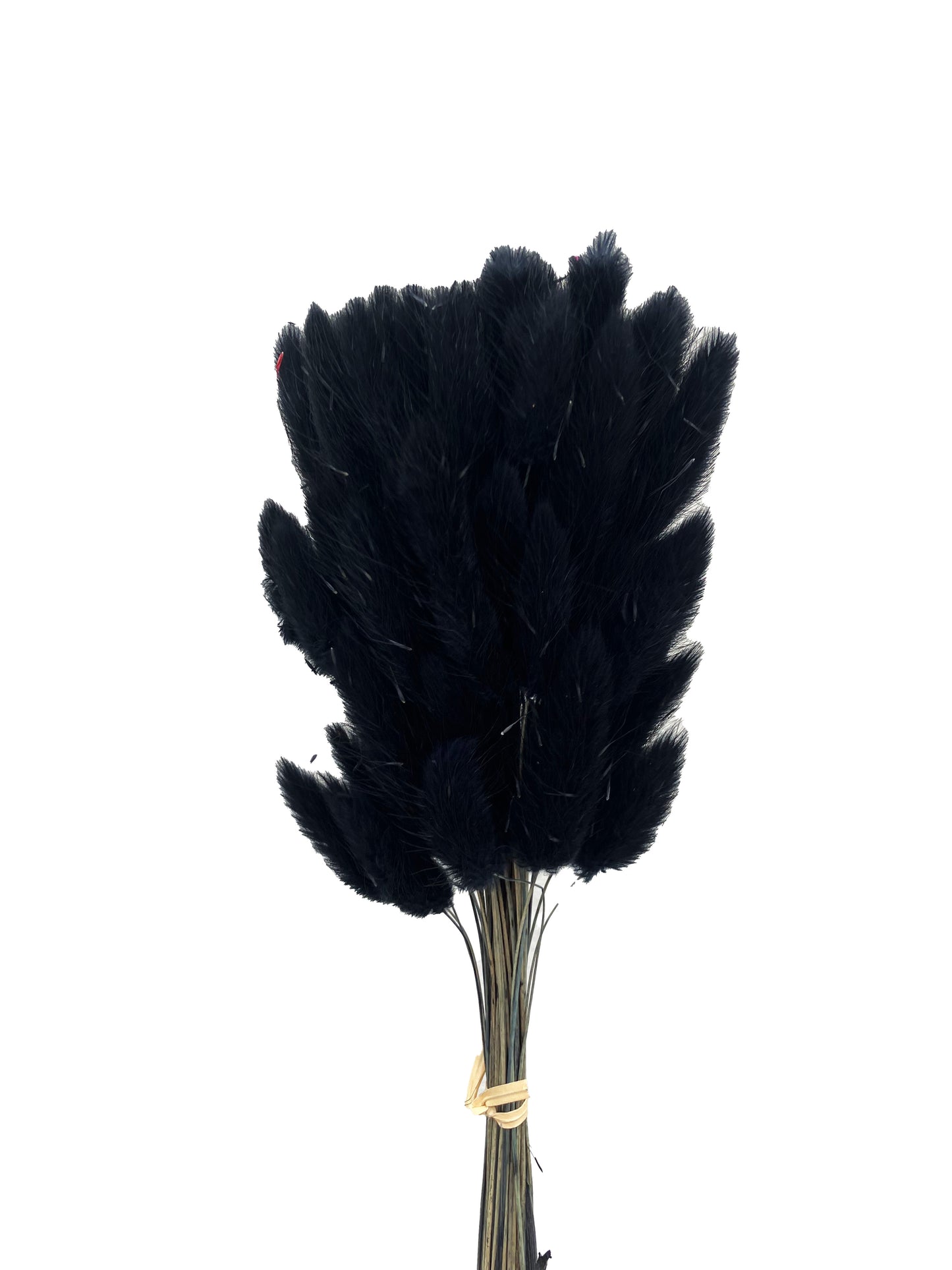 Dried Bunny Tails Black