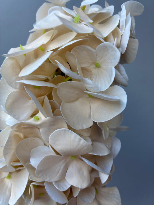 Artificial Real Touch Hydrangea Cream Champagne Cone