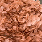 Hortensia séché cuivre