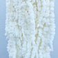 Dried Amaranthus White