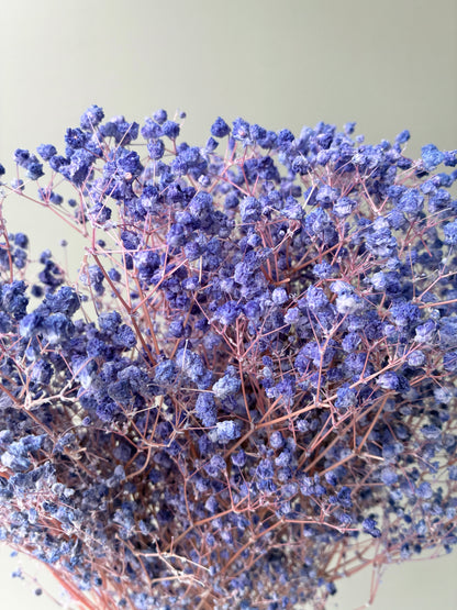 Dried Baby Breath Bleached Lavender Purple