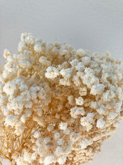 Dried Baby's Breath Natural