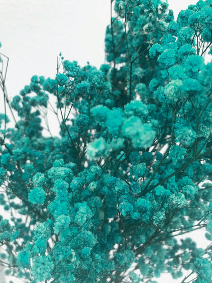 dried babys breath teal