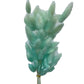 Dried Bunny Tails Teal