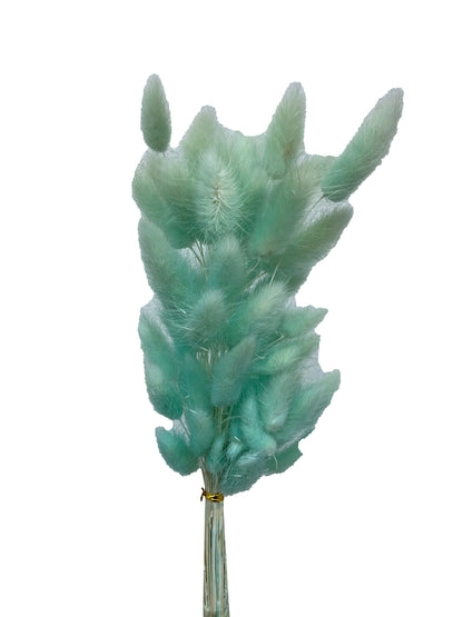 Dried Bunny Tails Teal