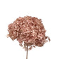 Hortensia seca Rosa viejo
