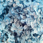 Dried hydrangea Sky Blue